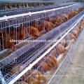 Gaiola de frango galvanizado de 3 camadas ou 4 camadas para a Nigéria Uganda Quênia Arica Market